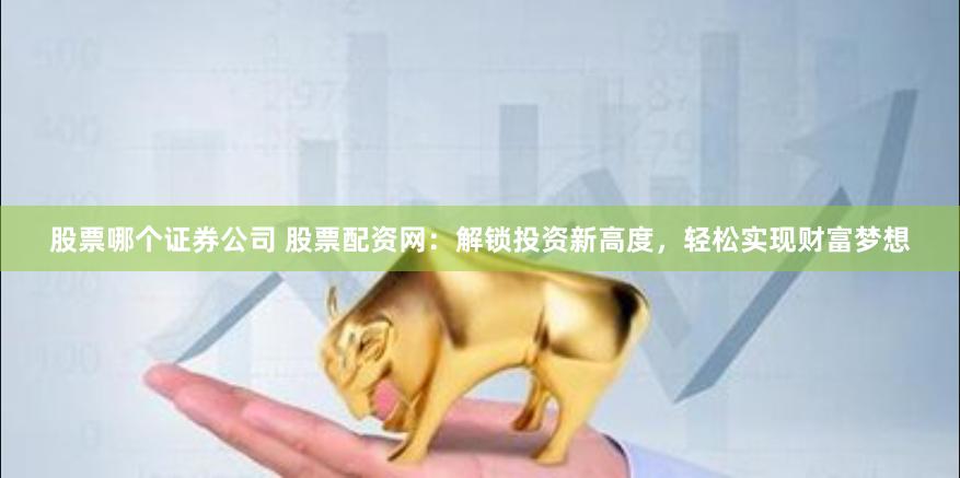 股票哪个证券公司 股票配资网：解锁投资新高度，轻松实现财富梦想