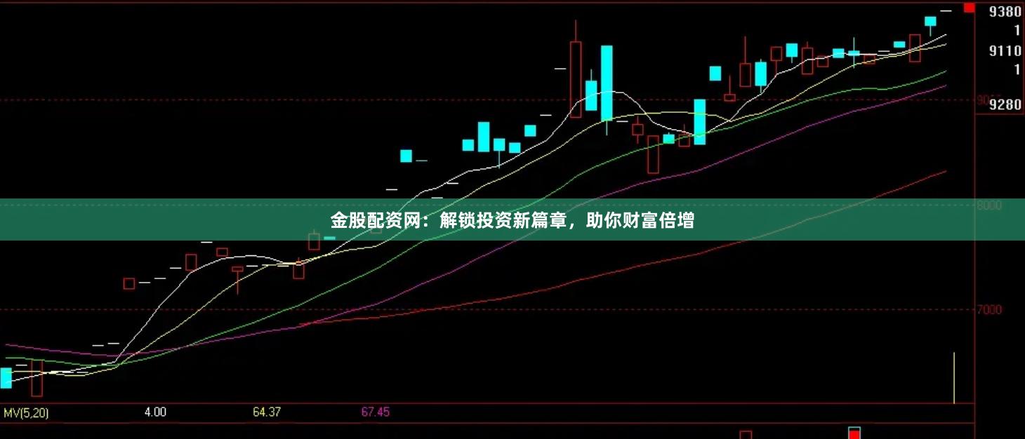 金股配资网：解锁投资新篇章，助你财富倍增