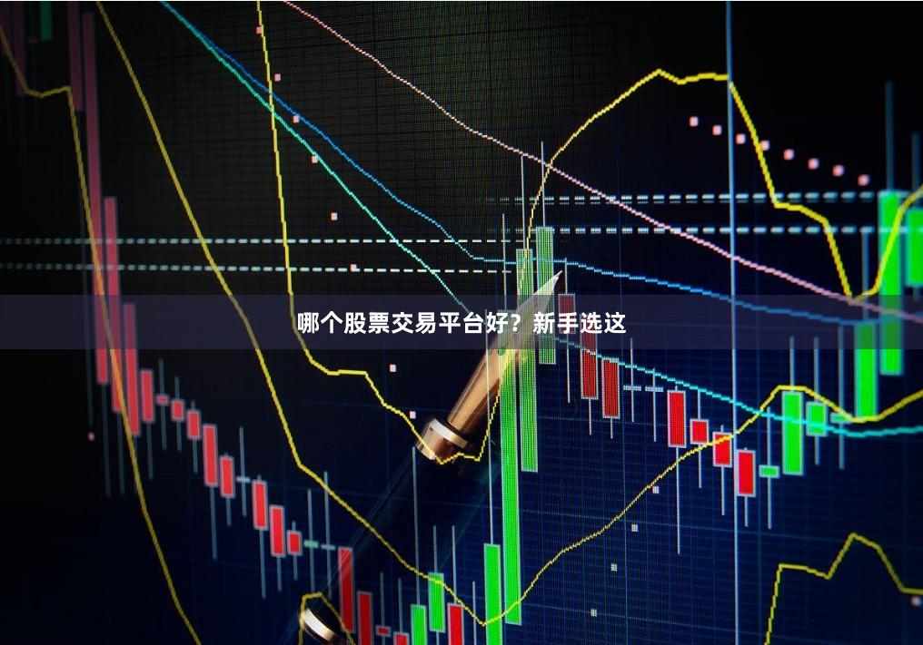 哪个股票交易平台好？新手选这