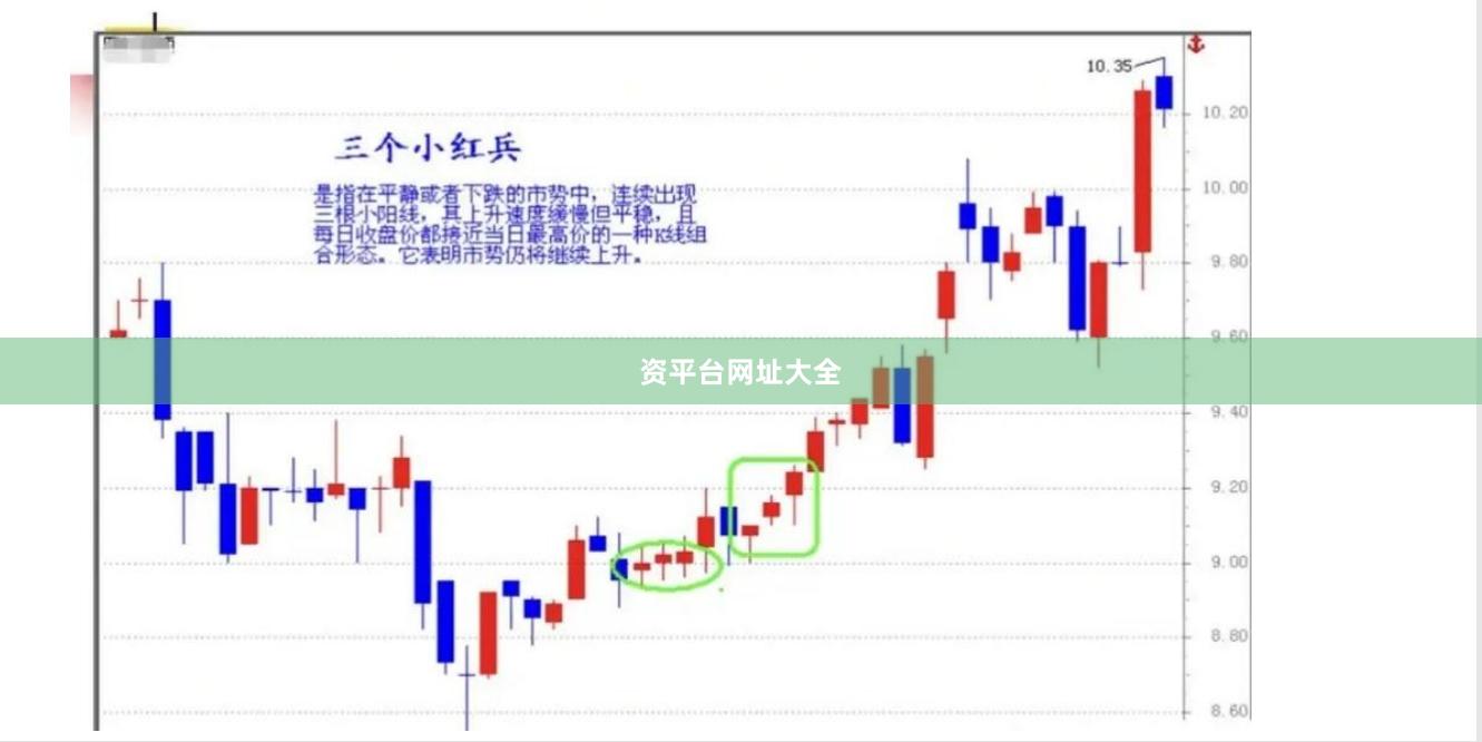 资平台网址大全